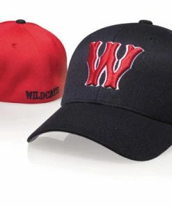 Richardson 585 Flex-Fit Wool Cap Accessories