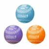 Champro Training And Coaching Aids Weighted Training Baseballs