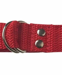 Champro Football Accessories Football Belt