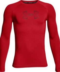 Under Armour HeatGear Youth Long Sleeve Shirt Apparel